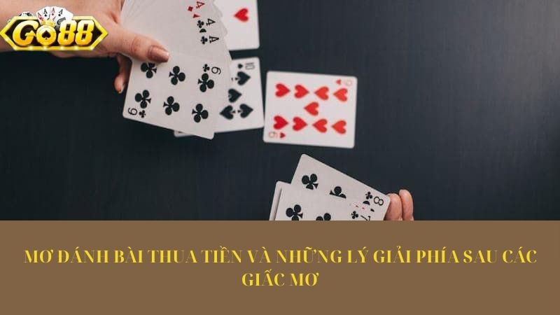 Mơ đánh bài thua tiền và những lý giải phía sau các giấc mơ