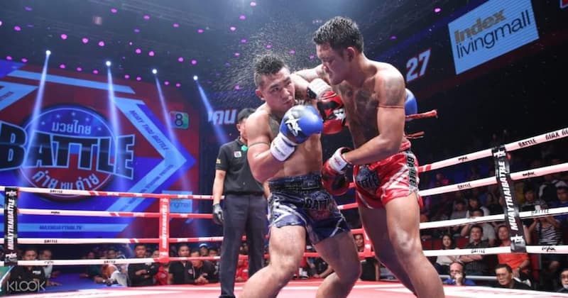 Trải nghiệm cá cược Boxing tại Go88